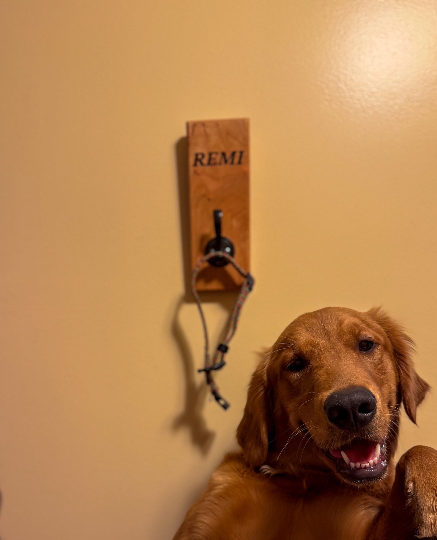 Custom Hardwood Dog Leash & Collar Holder