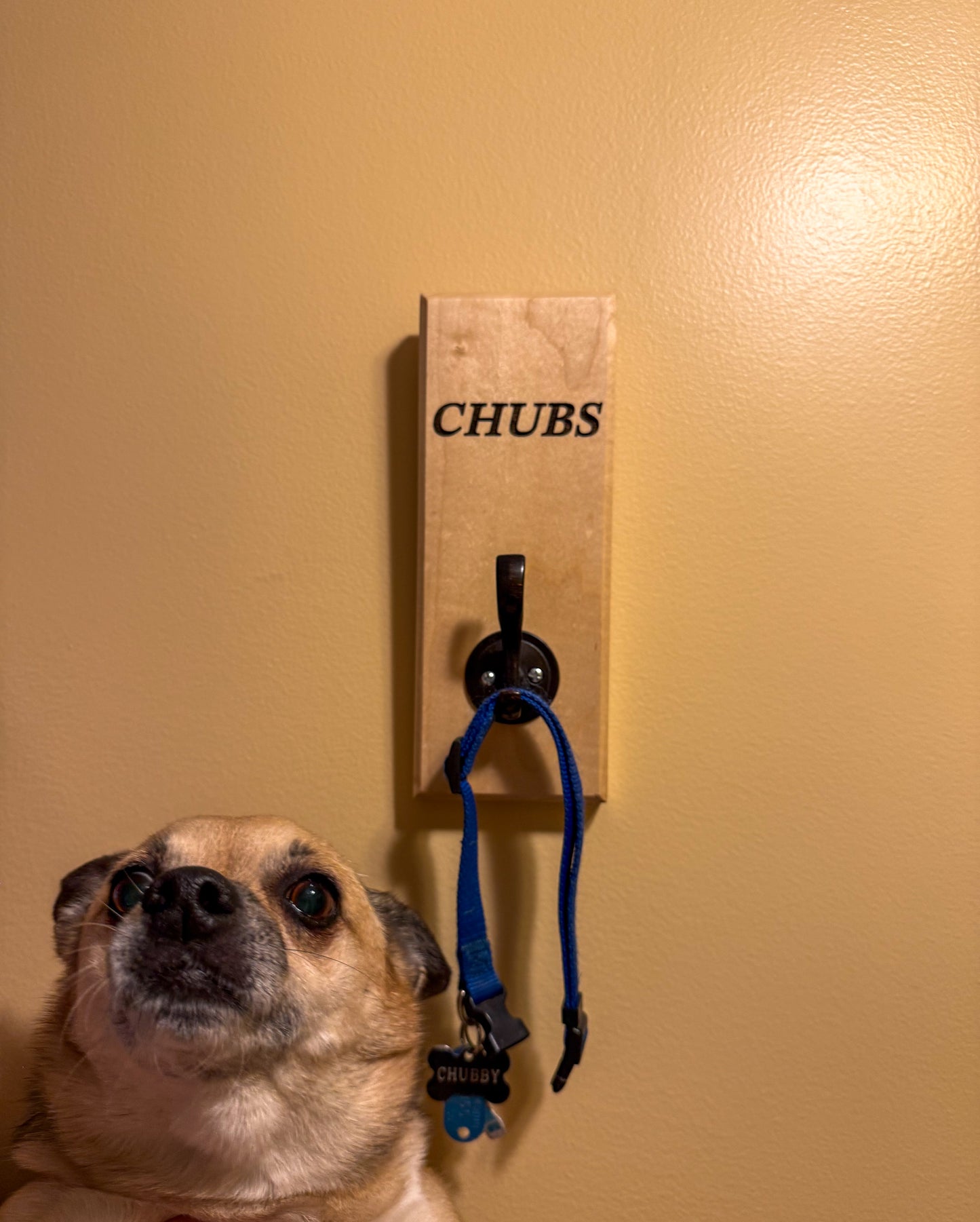 Custom Hardwood Dog Leash & Collar Holder