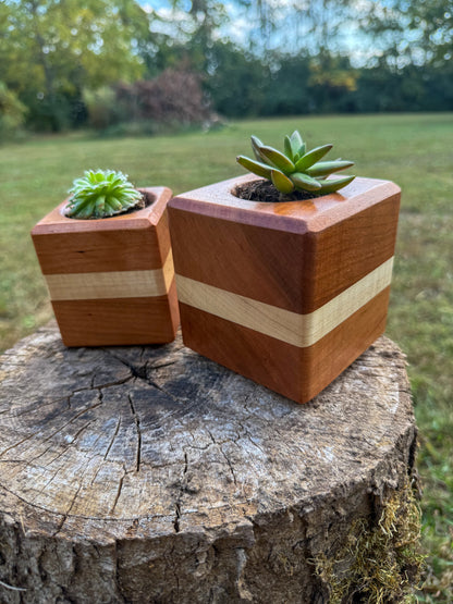 Handmade Cherry & Maple Hardwood Succulent Planter